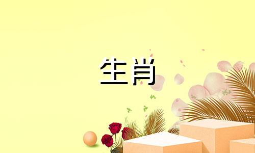 属兔人2023年全年运势详解