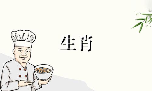 麦玲玲2023年属兔人的运势