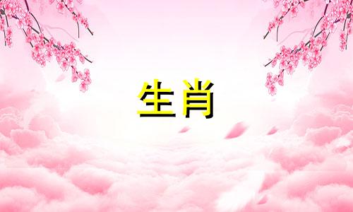 属虎女性2023年全年运势。属虎女性最适合嫁给属猪男性。