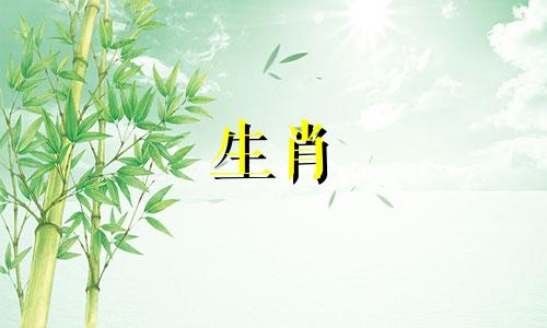 属蛇人在2023年会如何度过呢？