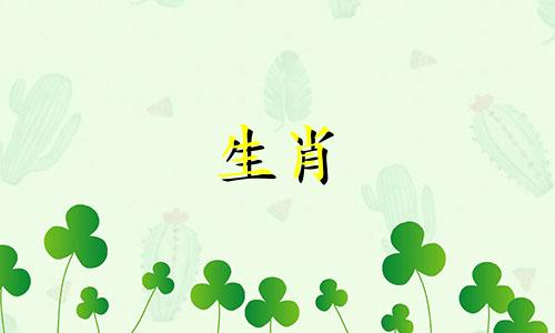 属虎的女生和属鼠的男生在一起，哪一个不适合呢？虎女是最佳搭配