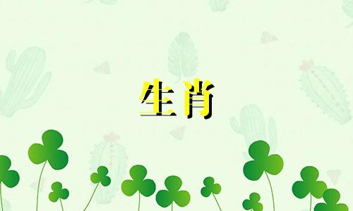 蛇年出生的人从哪一年开始发财？