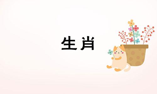 2022年牛年出生的人有哪些大禁忌