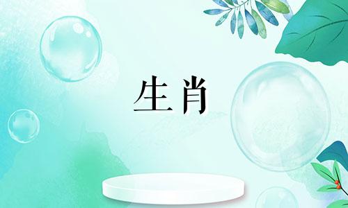 属猪男最想娶什么样的老婆？