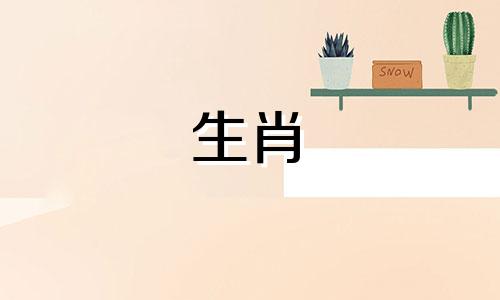 如果你是属龙的人，2023年将会有大事发生