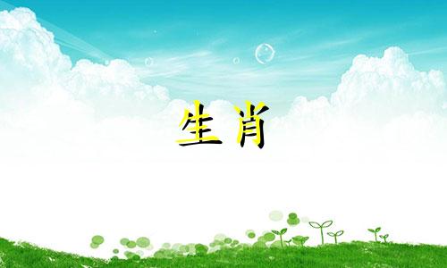 1981年41岁之后属鸡人的命运