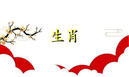 属蛇人永远吉祥的颜色