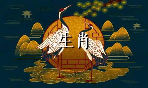 兔年出生的人最害怕的三个生肖