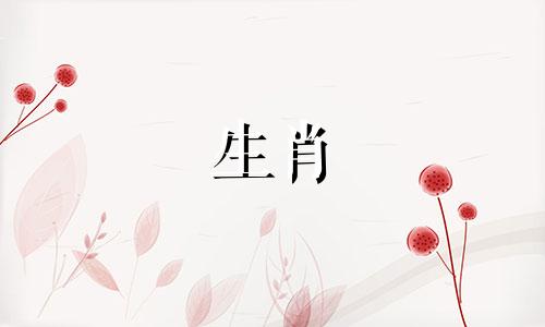 属鼠人最旺的颜色和数字