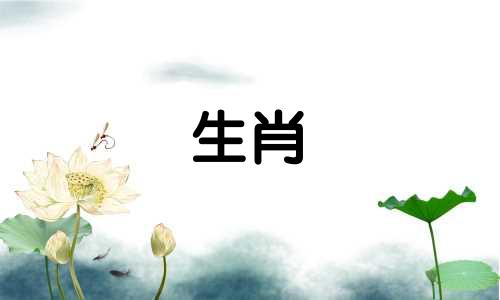 详细解读属虎人2022年的运势与命运。 2022年属虎人本命年运势完整版。