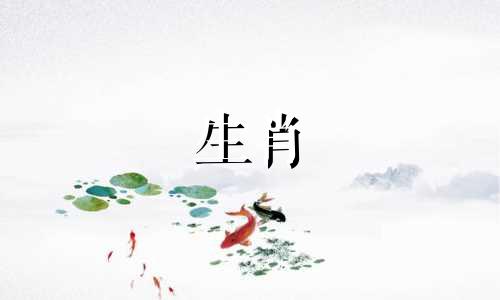 属兔的人会和谁有好运呢？