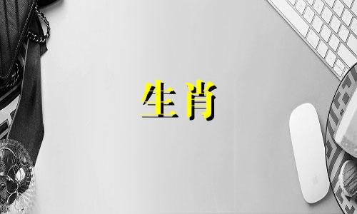 狗年男人70年来的婚姻关系
