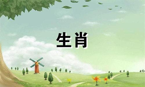 属龙人2022年的运势和运气。属龙人在33岁以后，运势不错。