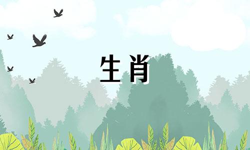 1989年属蛇人2022年运势,1989年属蛇人33岁运程