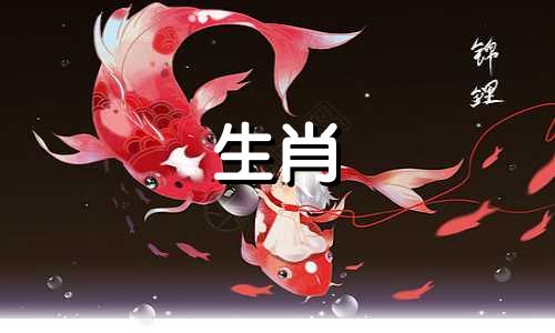 1991年属羊女有多少次婚姻？