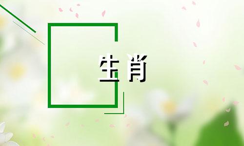 1987年出生的属兔人34岁会离婚吗?