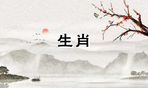 1998年是穷虎还是富虎？