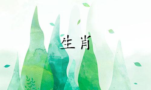 1970年出生的52岁狗狗的三大坎坷