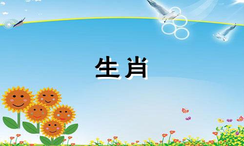 羊出生的时间决定了它的命运