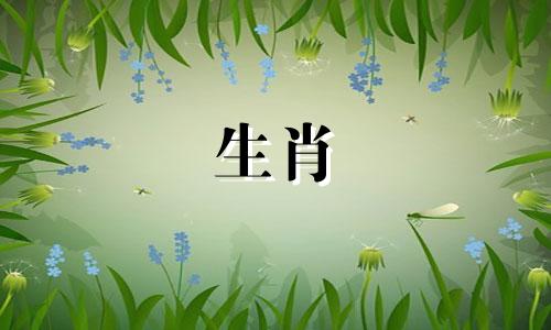 1987年兔年出生的人会不会有霉运呢？