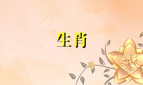 1970年出生的属狗人什么月份最好？