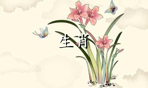 70岁属狗人未来十年的运势