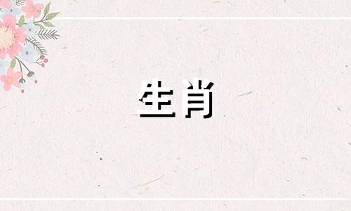 1986年属虎人未来5年的运势走势
