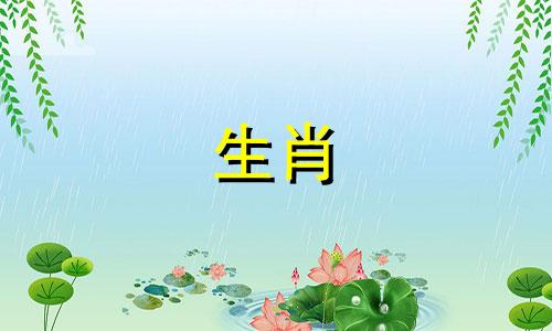 1997年属牛人的结婚年龄 1997年属牛人的最佳结婚年龄