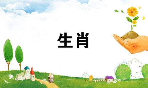 蛇看到羊哭就心碎，这意味着什么？