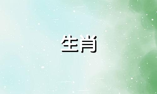 属龙的最佳搭配是什么？