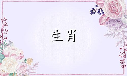 属兔不适合哪个生肖？