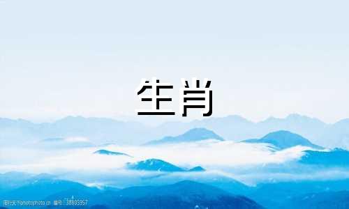 属龙的生肖与什么相冲突？