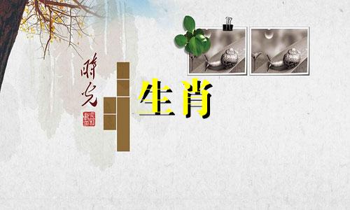 属虎与什么生肖有冲突？