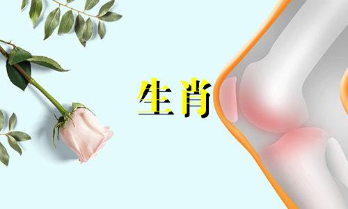 1986年属虎的女性2022年运势