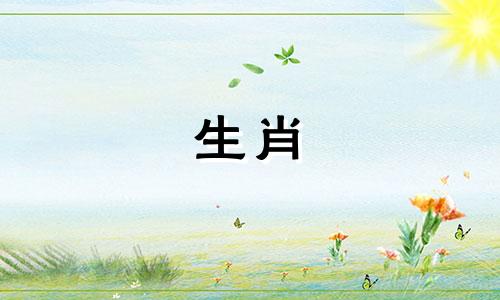 属鼠人最容易爱上哪个生肖？