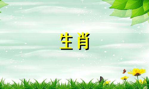 属兔是什么生肖，有什么好处？