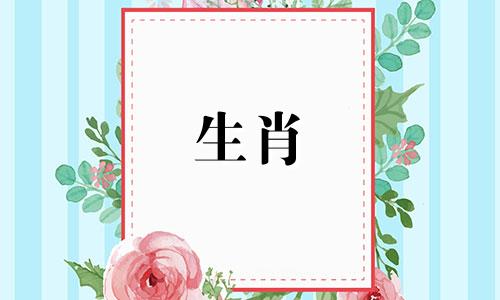 哪些生肖最适合与属兔结婚呢?