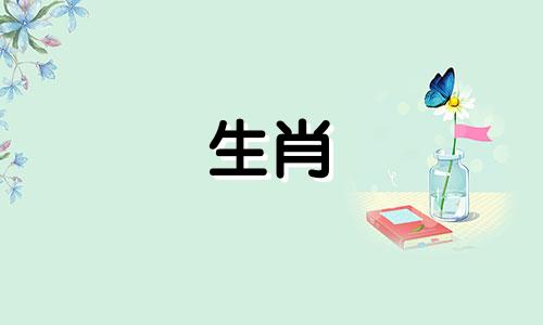 2022年羊年出生的人高考会顺利吗？