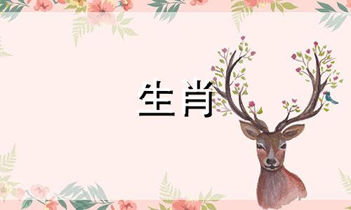 羊年出生的女性最害怕什么月份?