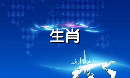 兔的生肖年是36，非常可怕。