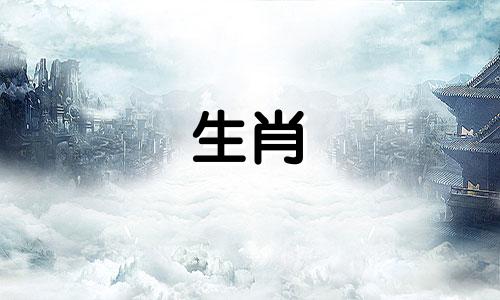 属兔人2022年下半年将会有大事发生