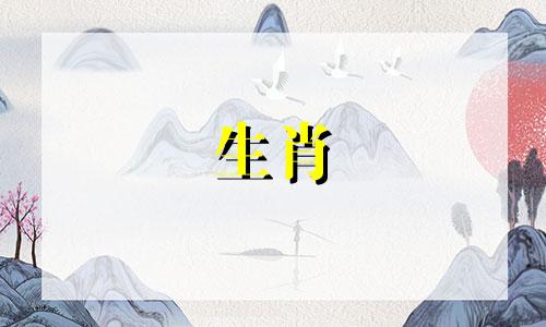 1987年兔年出生的人34岁结婚