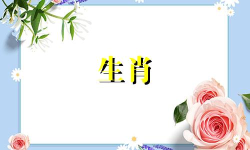 兔年出生的人35岁以后会一帆风顺