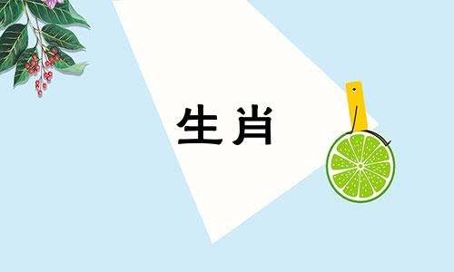 2022年属兔人的烂桃花什么时候结束？