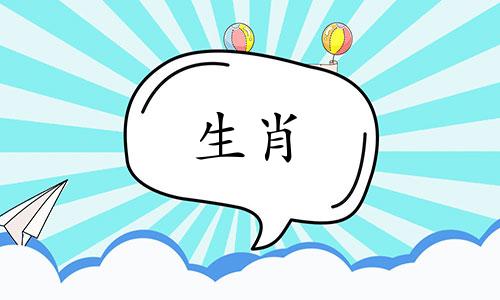1995年出生的猪和1994年出生的狗相配吗？ 95年属猪的人和94年属狗的人结婚怎么样？