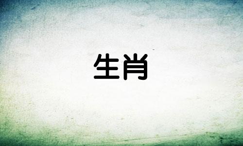 1980年属猴人什么时候会发财呢？