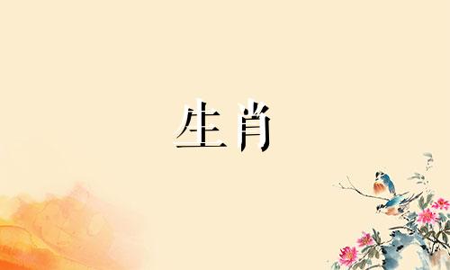 70岁属狗人2022年运势及每月运势