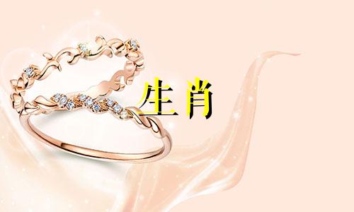 1986年虎年出生的人什么时候发财? 1986年属虎是哪一年开始致富的?