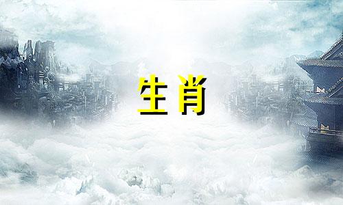 属鼠人在虎年的运势如何？ 2022年虎年属鼠人的运势如何？