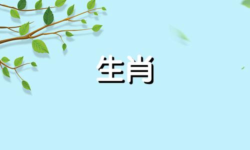 80猴年，对于42岁的属猴人来说，是大祸年，有七灾。